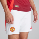 Manchester United 24-25 Herren Langarm Away Authentic Trikot_05 Kollektion – Exklusive Manchester United FC Trikots und Fanartikel